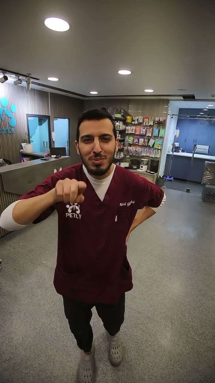الشهادات الصحية للسفر